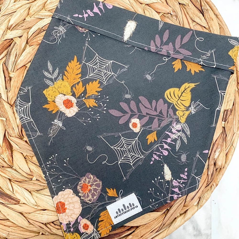With My Witches Dog Bandana